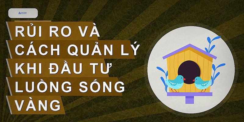 Rủi ro và cách quản lý khi đầu tư luồng sống vàng